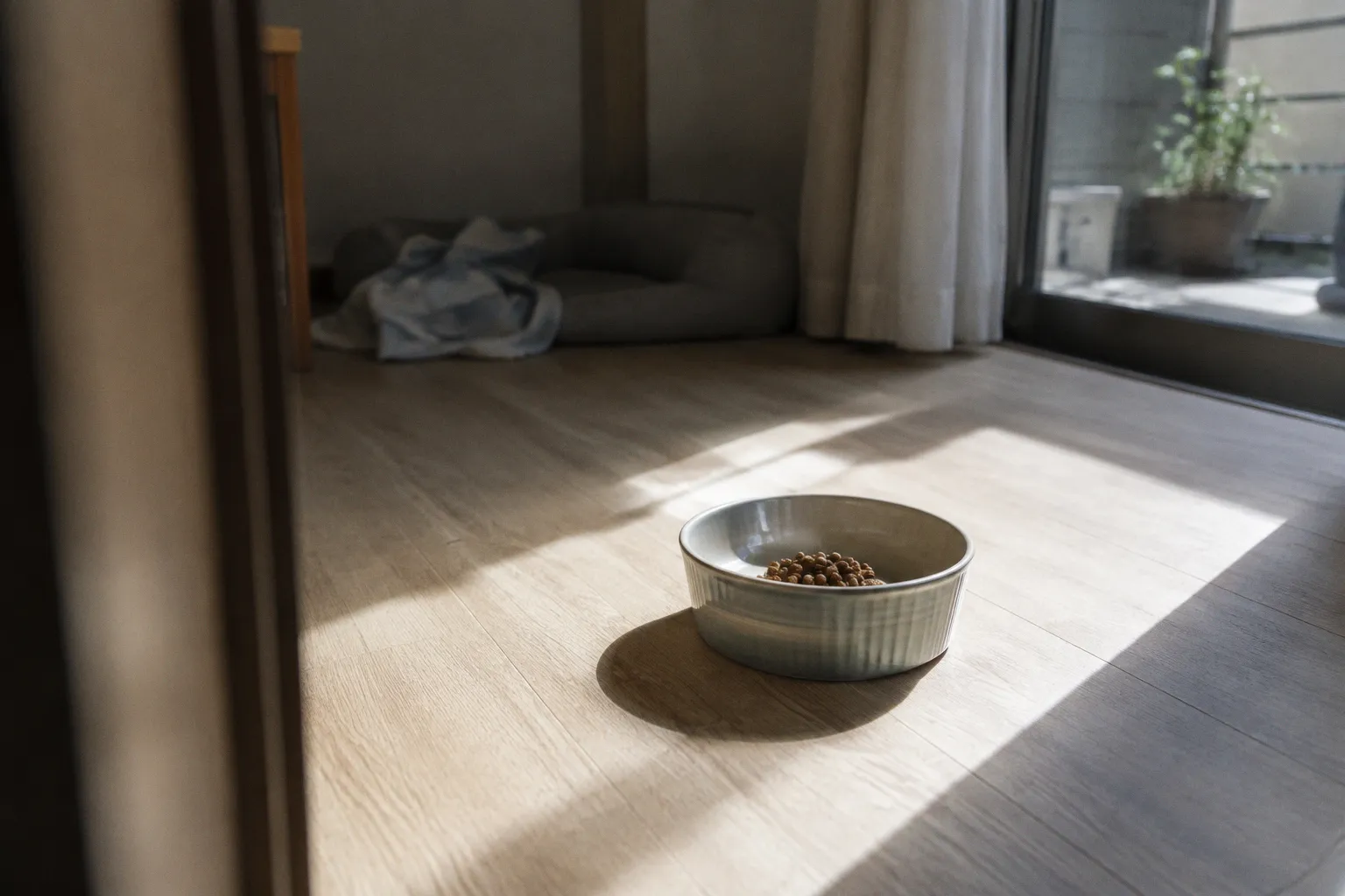 犬が黄色い泡を吐く原因と食事時間の工夫でできる手軽な予防法