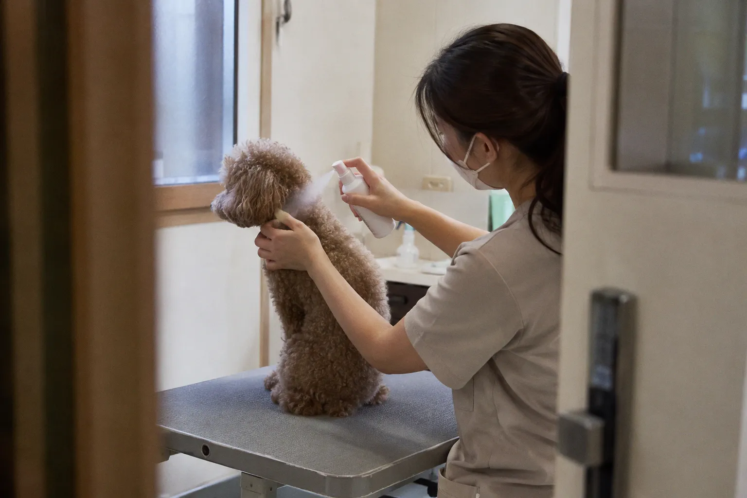 犬の保湿ケア導入で何が変わる？乾燥フケやかゆみの軽減メカニズム