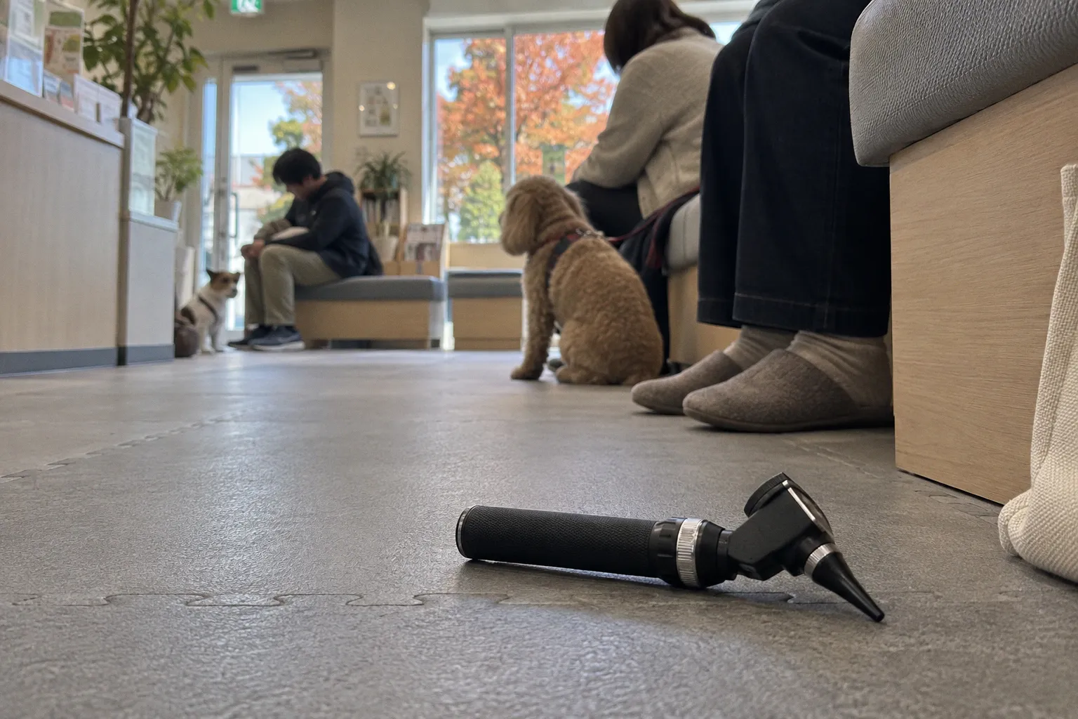 犬の健康診断:費用相場と検査項目を把握する準備の全手順