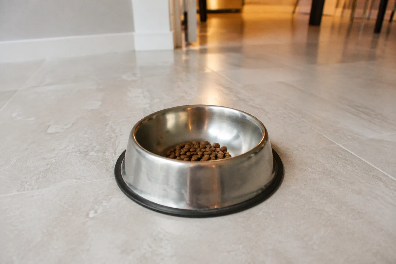 犬の食物アレルギー対策|除去食の選び方と段階的な切り替え計画